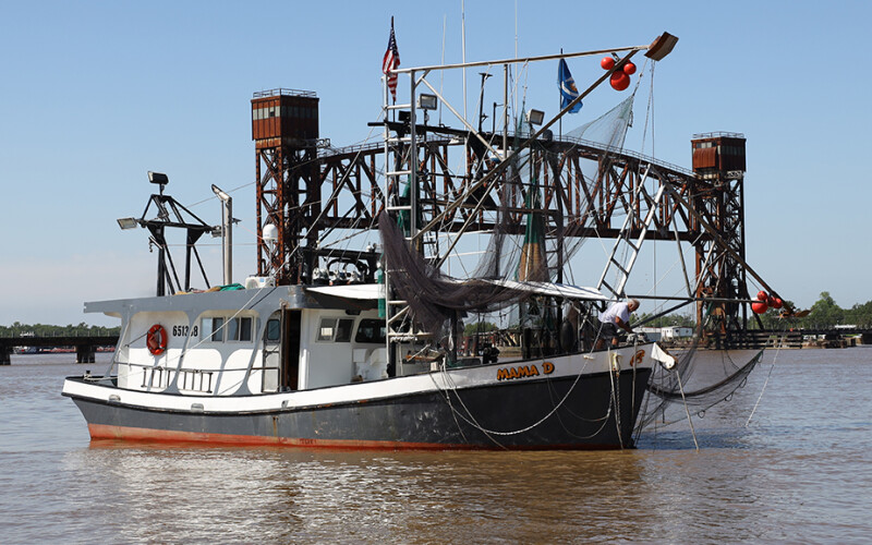 Louisiana spring shrimp season to open in a portion of inshore waters